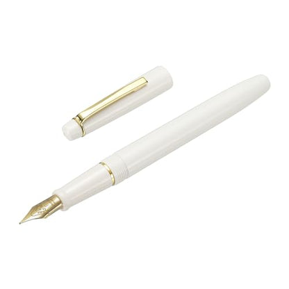 PATIKIL Fountain Pen Medium Nib, Fountain Pen Barrel Handcrafted Pen for Professional Office Journaling Gifts, White - color: White