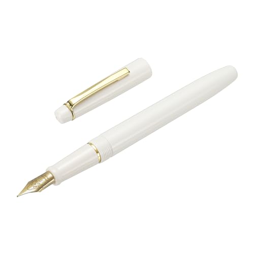 PATIKIL Fountain Pen Medium Nib, Fountain Pen Barrel Handcrafted Pen for Professional Office Journaling Gifts, White - color: White