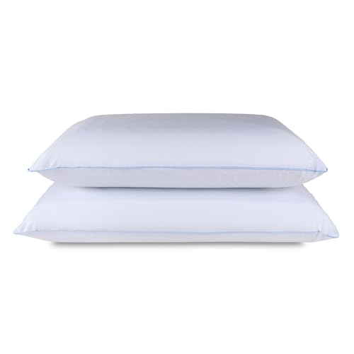 TEMPUR-Pedic TEMPUR-Cloud Dual Cooling Pillow, Queen-2-Pack, Queen, White 2 Count - color: Queen, size: 2