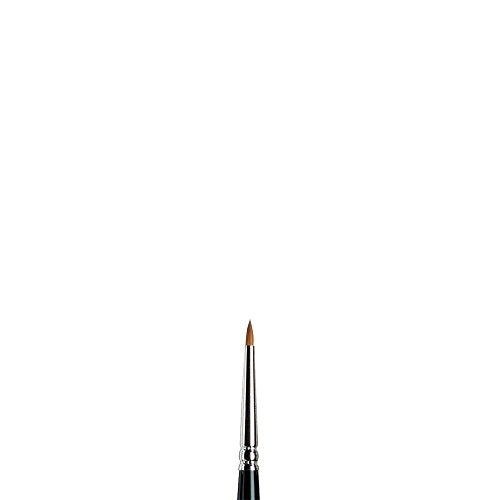 Winsor & Newton Series 7 Kolinsky Sable Miniature Watercolor Brush - Short Handle Round #2 | The World's Finest Watercolor Brush, Kolinsky Sable Hair, Rust-proof, Seamless Nickel Plated Ferrules, Hand-Made in England - size: #2, style: Mini Round