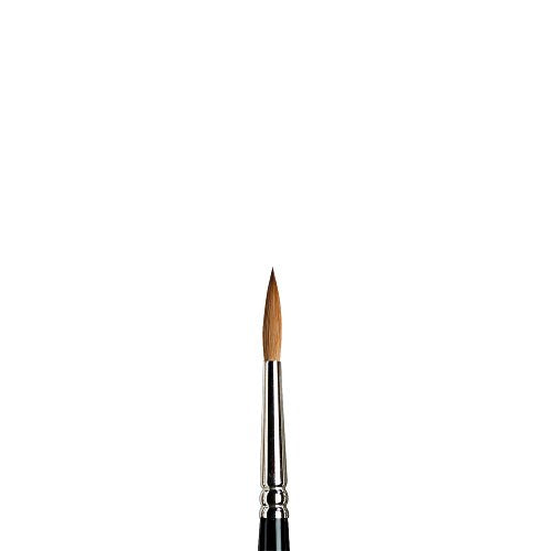 Winsor & Newton Series 7 Kolinsky Sable Brush, Round SH #5 | The World's Finest Watercolor Brush, Kolinsky Sable Hair, Rust-proof, Seamless Nickel Plated Ferrules, Hand-Made in England - size: #5, style: Round