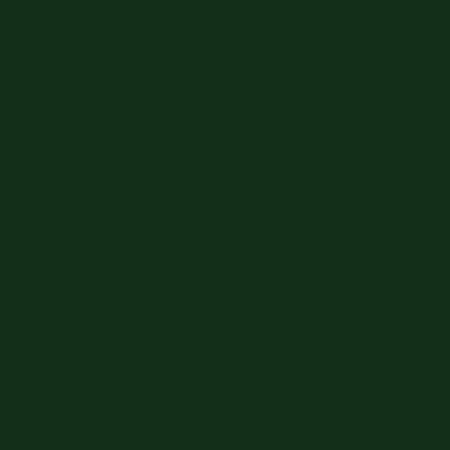 Blazing Needles Double-Corded Solid Twill Bolster Pillows with Inserts (Set of 2), 20" x 8", Forest Green - color: Forest Green
