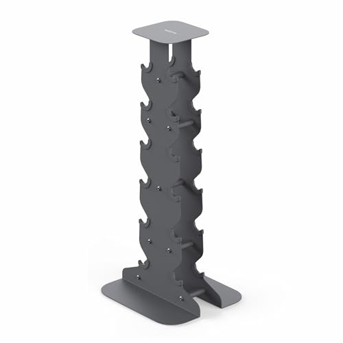 WeGym Dumbbell Rack, Sturdy Cast Iron for Space-Saving Home Gym Storage - color: Slate, style: XL