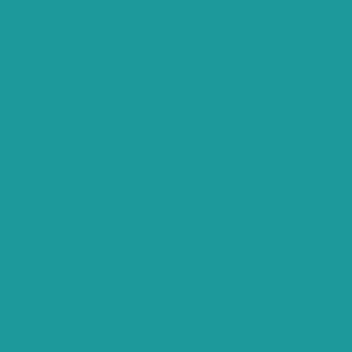 Blazing Needles Double-Corded Solid Twill Bolster Pillows with Inserts (Set of 2), 20" x 8", Aqua Blue - color: Aqua Blue