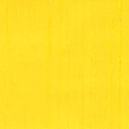 Williamsburg Artist Oil Colors, Bismuth Vanadate Yellow, 37 ml Tube | Artist grade oil paint delivering rich texture, high pigment load, and distinctive handmade character. - color: Bismuth Vanadate Yellow, size: 1.25 Fl Oz (Pack of 1)