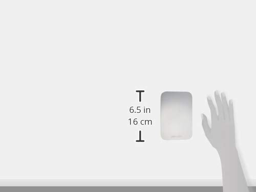 Cinema Secrets Stainless Steel Makeup Palette, Medium