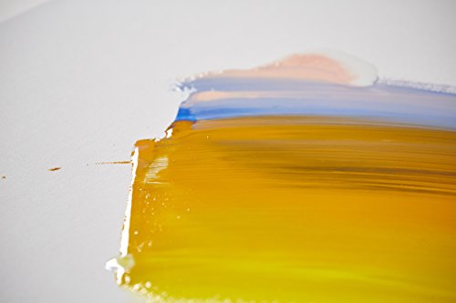 Liquitex Professional Fluid Medium, 118ml (4-oz), Slow-Dri Blending (Pack of 2) - color: Slow-dri Blending, size: 4 Fl Oz (Pack of 2), style: 4-oz