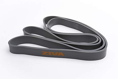 Ziva PRO Portable Resistance Band - Pull Up Assistance Exercise Bands for Home Fitness, Stretching, Strength Training, Physical Therapy – Medium Resistance, 41" L, 22-44 lbs. Tension - size: Medium