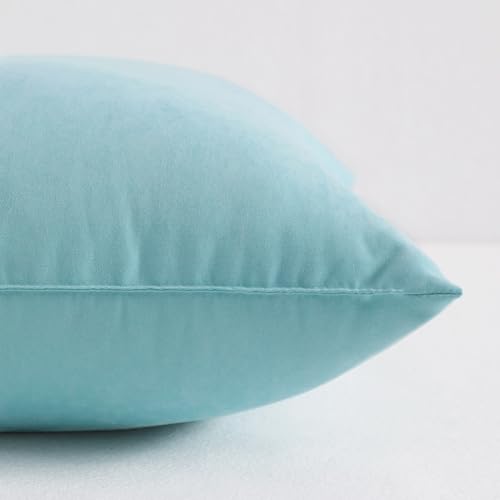 NTBAY Toddler Pillows, Set of 2, 13"x18", Aqua - color: Aqua, size: 13"x18"