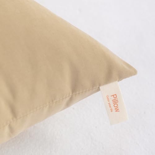 NTBAY Toddler Pillows, Set of 2, 13"x18", Light Taupe - color: Light Taupe, size: 13"x18"
