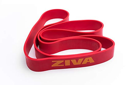 Ziva PRO Portable Resistance Band - Pull Up Assistance Exercise Bands for Home Fitness, Stretching, Strength Training, Physical Therapy – Heavy Resistance, 41" L, 33-55 lbs. Tension - size: Heavy