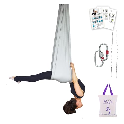 F.Life Aerial Silk Yoga Hammock & Swing for yoga Inversion,Strength training,starter hardware kit - color: sliver