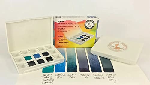 Daniel Smith Hand Poured Watercolor, Half Pans, Blues Set with 6 Watercolor Half Pans, 9 Empty Half Pans, 1 Plastic Travel Case (Total 16 Pieces) 285650004 - style: Blue Set of 6 Color Plastic Case with 9 Empty Containers