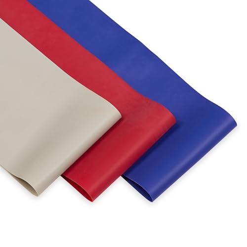 Champion Loop Resistance Bands, 3-Pack (Grey/Red/Blue) | Rubber Loop Bands | Strength, Stretching & Full-Body Resistance Training | Light, Medium & Heavy Resistance Included