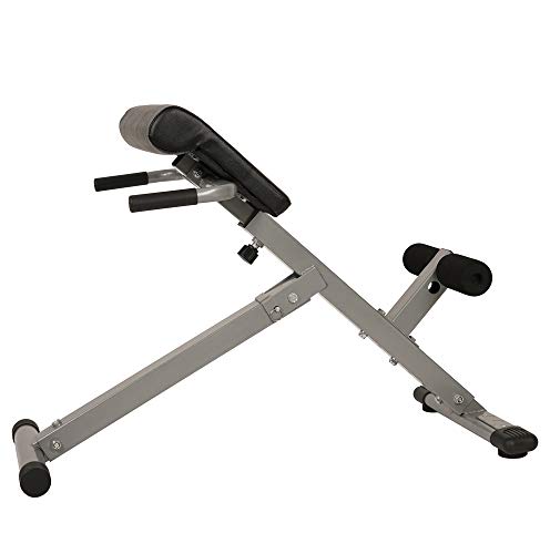 Sunny Health & Fitness Multi-Function Roman Chair - color: Sliver