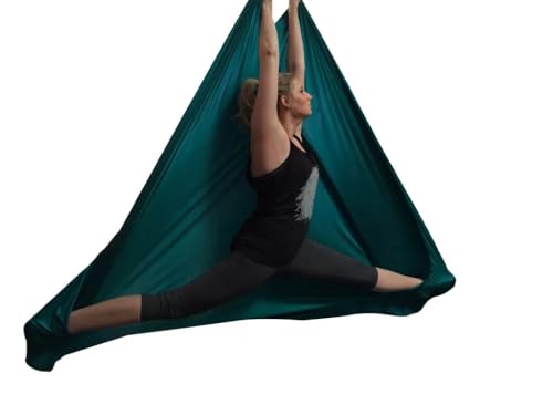 F.Life Aerial Silk Yoga Hammock & Swing for yoga Inversion,Strength training,starter hardware kit - color: Dark green