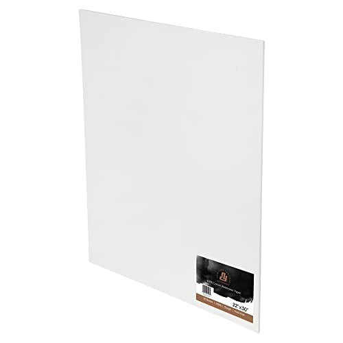 New York Central Watercolor Paper - 22x30" - 50 Pages - 140 lb. Rough Press - 100% Cotton, Acid-Free, Archival Quality, Bright White Watercolor Paper Pad for Wet & Dry Media