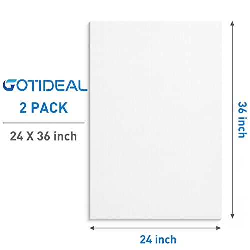 GOTIDEAL Stretched Canvases for Painting, 24x36 Inch Set of 2 | Primed White - 100% Cotton Blank Art Large Canvas Boards for Painting for Acrylic Pouring, Oil Paint Dry & Wet Art Media - color: White, size: 24"x36"