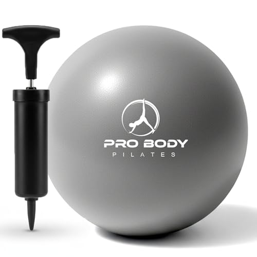 ProBody Pilates Ball Small with Pump - 9 Inch Small Exercise Ball - color: Silver