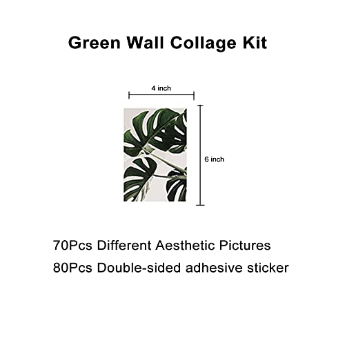 bOPART 70pcs Wall Collage Kit Aesthetic Picures, Green Plant Room Decor Aesthetic Collage Picture Wall Decor for Teen Girls/boys Room bedroom Dorm (4x6 inch) - color: M9001-Green