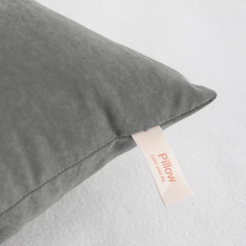 NTBAY Toddler Pillows, Set of 2, 13"x18", Dark Grey - color: Dark Grey, size: 13"x18"