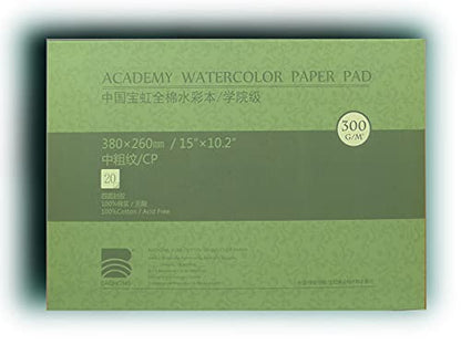 BAOHONG Academy Grade Watercolor Block, 100% Cotton, Acid-Free, 140LB/300GSM, Cold Press Textured, 20 Sheets per Block (Cold Press 15"x10.2") - size: Cold Press 15" x 10.2"