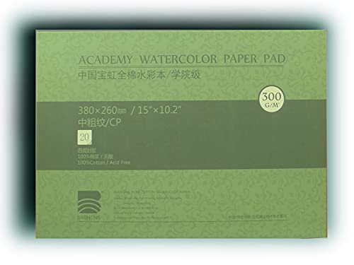 BAOHONG Academy Grade Watercolor Block, 100% Cotton, Acid-Free, 140LB/300GSM, Cold Press Textured, 20 Sheets per Block (Cold Press 15"x10.2") - size: Cold Press 15" x 10.2"