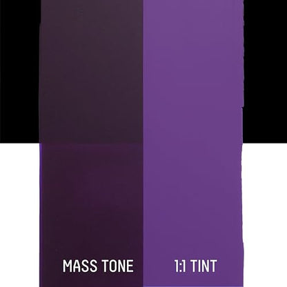 Liquitex BASICS Acrylic Fluid Paint, 4-oz Bottle, Dioxazine Purple | Super Versatile, Fine Art Pigments; Fluid Consistency, Vibrant satin colors, Permanent, Lightfast, Water-Resistant Finish - color: Dioxazine Purple, style: 118ml (4-oz)