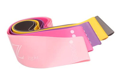 Resistance Loop Exercise Bands with Carry Bag| Workout Loop Bands for Body Workout Fitness Stretch| Set of 5