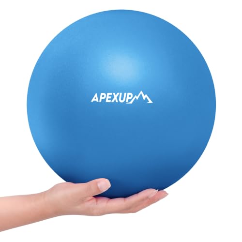 APEXUP 9 Inch Pilates Ball Small Exercise Ball for Yoga, Fitness, Balance, Core Workout, Physical Therapy - color: Blue