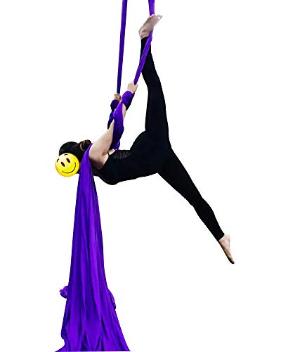 Durable Aerial Silks Starter Kit with 11-Yard Yoga Hammock & Hardware - color: Dark Purple