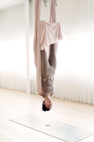 F.Life Aerial Silk Yoga Hammock & Swing for yoga Inversion,Strength training,starter hardware kit - color: Nude