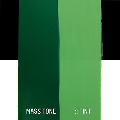 Liquitex BASICS Acrylic Fluid Paint, 4-oz Bottle, Hookers Green Perm Hue | Super Versatile, Fine Art Pigments; Fluid Consistency, Vibrant satin colors, Permanent, Lightfast, Water-Resistant Finish - color: Hookers Green Permanent Hue, style: 118ml (4-oz)