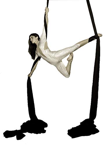 Aerial Silks 13 Yards Hardware Kit Low stretch Aerial Yoga Hammock Acrobatics - Swivel 360 Spinner Equipment Height Adjustment Strap, Portable Storage (Black)