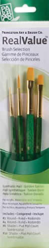 Princeton RealValue Brush Set, Synthetic Golden Taklon, Green Handle, 4 Piece, 1 Count - style: Set-9116