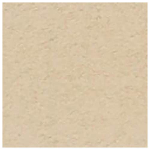 Turner Colour Works Acryl Gouache Artist Acrylic Paint - Single 20 ml Tube - Japanesque Beige - color: Japanesque Beige, size: 0.7 Fl Oz (Pack of 1)
