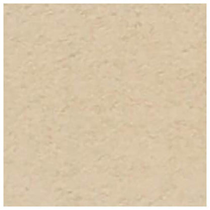 Turner Colour Works Acryl Gouache Artist Acrylic Paint - Single 20 ml Tube - Japanesque Beige - color: Japanesque Beige, size: 0.7 Fl Oz (Pack of 1)