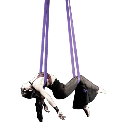 8.2ft 2.5m Aerial Straps Ropes Yoga Aerial Acrobatics Body Aerial Loop Trapeze Circus Apparatuses Equipment Three-Layer Straps 1 pairs - color: Light Purple