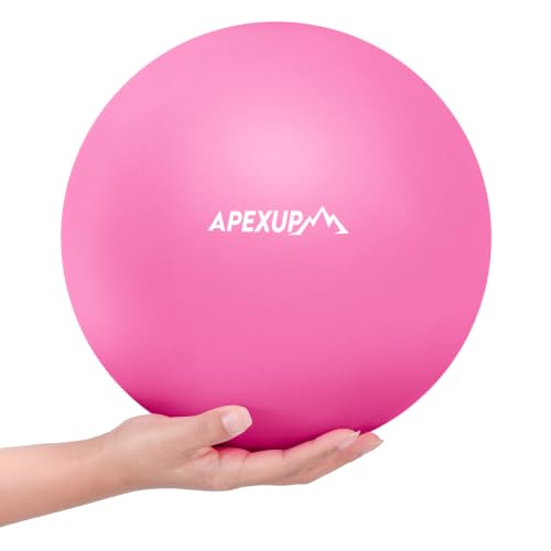 APEXUP 9 Inch Pilates Ball Small Exercise Ball for Yoga, Fitness, Balance, Core Workout, Physical Therapy - color: Fuschia