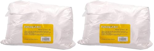 Falling in Art 5 LB Plaster of Paris Powder - Hand Mold Casting Kit Powder, Gypsum Cement, Pottery & Ceramic Plaster Powder for Crafts, Sculpture, Diorama and Home Decor (Pack of 2) - size: 80 Ounce (Pack of 2)