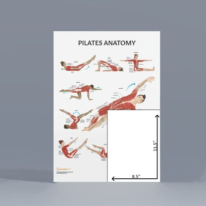 Anatomy Lab Pilates Anatomy Poster, LAMINATED, Pilates Wall Chart | 17.3 x 22.5 Inches, Anatomy and Physiology, Wall Pilates Exercise Chart, Workout Poster - color: Pilates