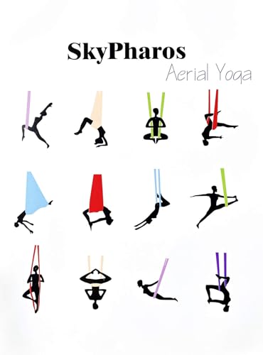 5.5 Yards Aerial Silks Yoga Swing Set - Aerial Yoga Hammock Kit Anti-Gravity Flying for Fitness, Low/Non Stretch Nylon Tricot Fabric Hardware Included for Dance - color: CHAMPAGNE