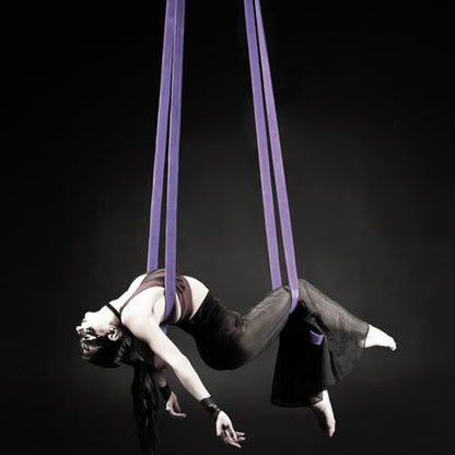 8.2ft 2.5m Aerial Straps Ropes Yoga Aerial Acrobatics Body Aerial Loop Trapeze Circus Apparatuses Equipment Three-Layer Straps 1 pairs - color: Light Purple