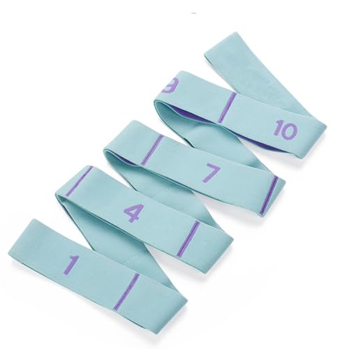 11 Loops Stretch band - Yoga, Pilates, Ballet, and Physical Therapy Stretching strap for Flexibility, Leg Stretching, and Exercise - Durable Stretching equipment for Dance and Fitness - color: 11 Grids-Blue