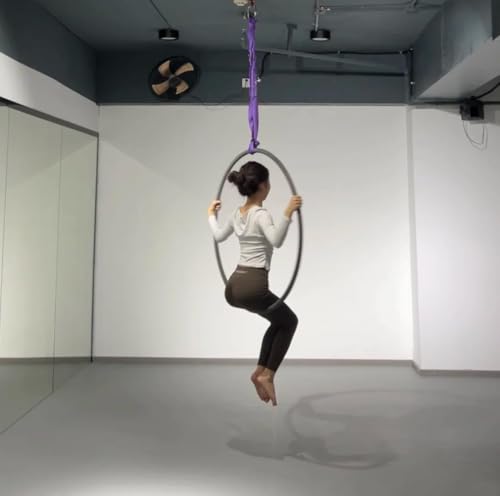 Endless Round Slings for Aerial Lyra Hoop Rig, Aerial Silks Handing Polyester Lifting Sling Spanset, Heavy Duty Polyester Capacity 5300 Lbs Vertical Capacity (Purple, 2 FT) - color: Purple, size: 2 ft