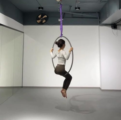 Endless Round Slings for Aerial Lyra Hoop Rig, Aerial Silks Handing Polyester Lifting Sling Spanset, Heavy Duty Polyester Capacity 5300 Lbs Vertical Capacity (Purple, 2 FT) - color: Purple, size: 2 ft