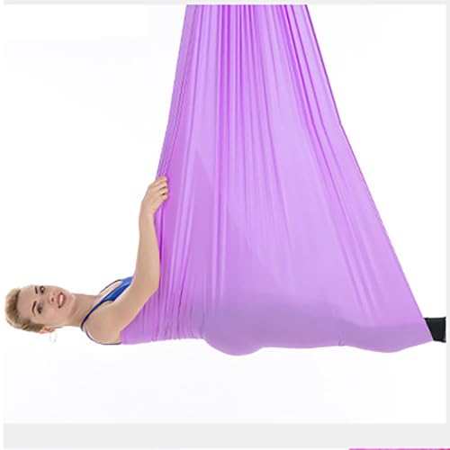 Aerial Yoga Hammock L:5M W:2.8M 5.5 Yards Aerial Pilates Silk Yoga Swing Set with 2000 Ibs Load Include Daisy Chain, Pose Guide - color: Light Purple