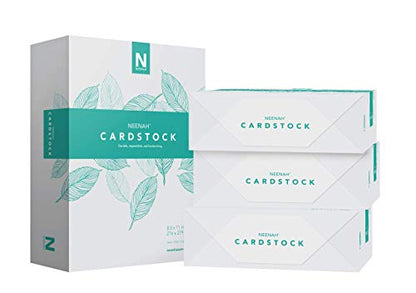 Neenah Vellum Bristol Cardstock, Lightweight, 4 Packs of 325 Sheets/1300 Sheets, 67 lb/147 gsm, 94 Brightness, 8.5" x 11" - MORE SHEETS! (91633-02) - size: 4-Pack