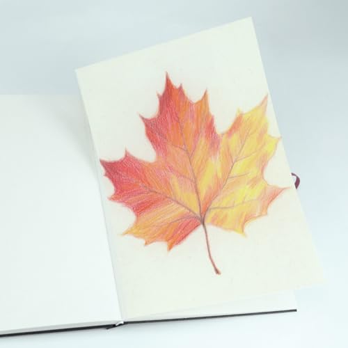 CuppaClip Sketch Book Hardcover Drawing Pad 300GSM Acid-Free Paper Spiral Bound Sketchbook 50 Sheets/100 Pages Art Supplies (Hardcover, 5.9x8.3in) - color: Hardcover, size: 5.9x8.3in