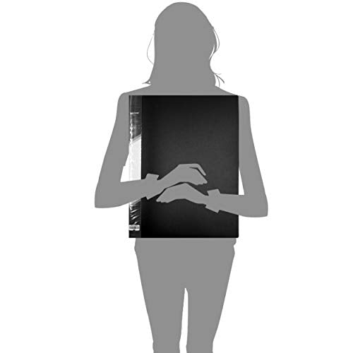 Presentation Book 40 Clear Pockets Sleeves Protectors Art Portfolio Clear Book for Artwork, Report Sheet, Letter(Can Accommodate 14 X 11inch) - size: 14x11.2inch (Black)